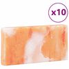vidaXL Pierre de Sel 10 pcs Rose 20 x 2,5 x 10 cm Sel de Roche