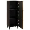 vidaXL Meuble d'appoint avec tiroir Noir et or 40 x 33,5 x 110 cm