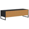 vidaXL Meuble TV Ch&ecirc;ne noir 100 x 36,5 x 30,5 cm Bois d'ing&eacute;nierie