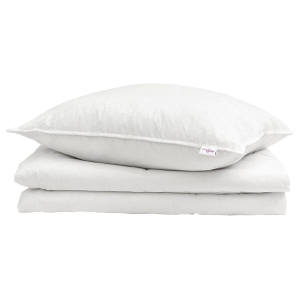 vidaXL Duvet d'&eacute;t&eacute; simple avec oreiller 2 pcs Blanc Plume de canard