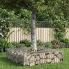 vidaXL Lit sur&eacute;lev&eacute; gabion Argent&eacute; 80 x 80 x 20 cm Acier galvanis&eacute;
