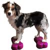 FitPAWS Plate-forme d'&eacute;quilibre pour animaux de compagnie 2 pcs