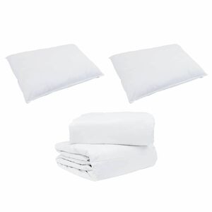 vidaXL Ensemble de Duvet avec oreiller 3 pcs Blanc Plume de canard