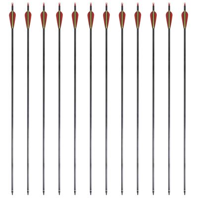 12 flèches standard en carbone 30" 0,76 cm pour arc classique