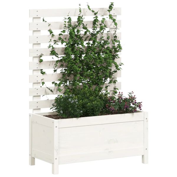 vidaXL Jardinière avec support blanc 79x39,5x114 cm bois de pin massif