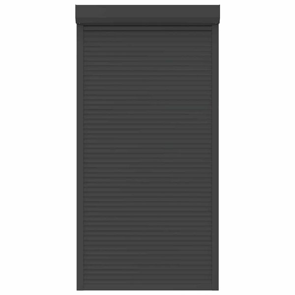 vidaXL Volet roulant aluminium 110x220 cm anthracite