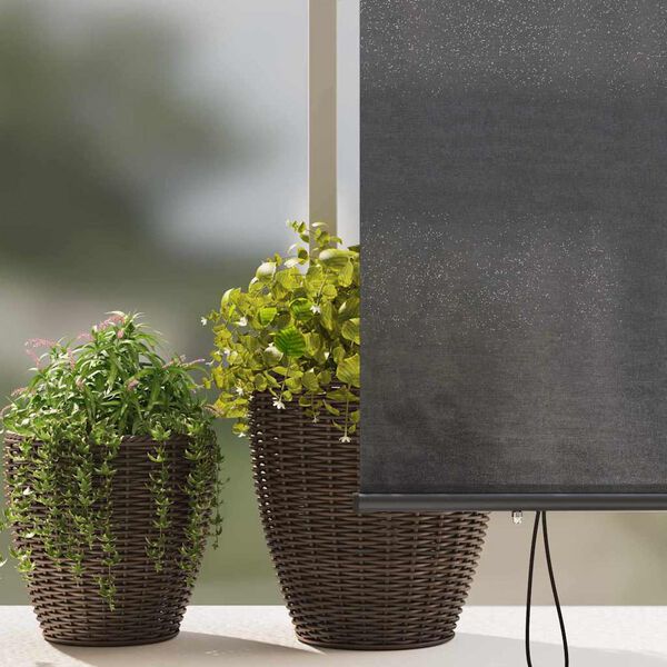 vidaXL Store Roulant Extérieur Rayé Anthracite 200 x 250 cm tissu