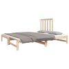 vidaXL Lit coulissant sans matelas 2x(90x190) cm