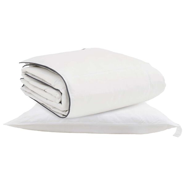 vidaXL Duvet d'hiver avec oreiller 2 pcs Blanc Plume de canard