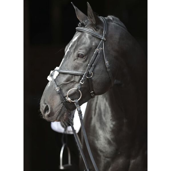 Covalliero Bridon Cancun pour poney Noir
