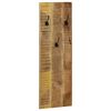 vidaXL Porte-manteau mural 2 pcs Bois de manguier massif 36x110x3 cm