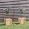 vidaXL Jardini&egrave;res d'ext&eacute;rieur 2 pcs 40x40x40 cm bois de pin massif