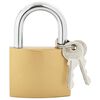 vidaXL U Lock avec Cl&eacute;s Laiton 6 x 2 x 9,1 cm Fer