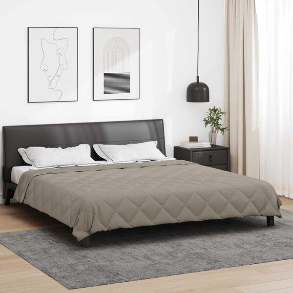 vidaXL Duvet d'&eacute;t&eacute; simple Gris clair 220 x 200 cm Microfibre