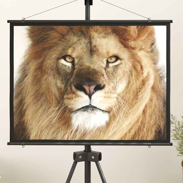 Affichage de l&rsquo;image produit 2 sur 7