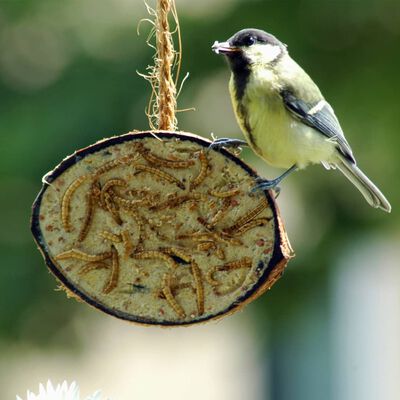 Nourriture pour oiseaux No-name - Mélange de graines pour oiseaux