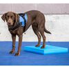 FitPAWS Coussin d'&eacute;quilibre pour animaux de compagnie 38x46x5 cm Bleu