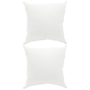 vidaXL Oreiller FULDA 2 pc 50 x 50 cm 100% duvet d'oie et plumes Blanc