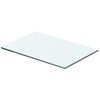 vidaXL Panneau pour &eacute;tag&egrave;re Verre transparent 40 x 20 cm