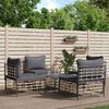 vidaXL Salon de jardin 5 pcs avec coussins anthracite résine tressée