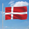 vidaXL Drapeau Danemark 90x150 cm