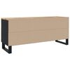 vidaXL Meuble TV 105x33x46 cm Bois massif de manguier