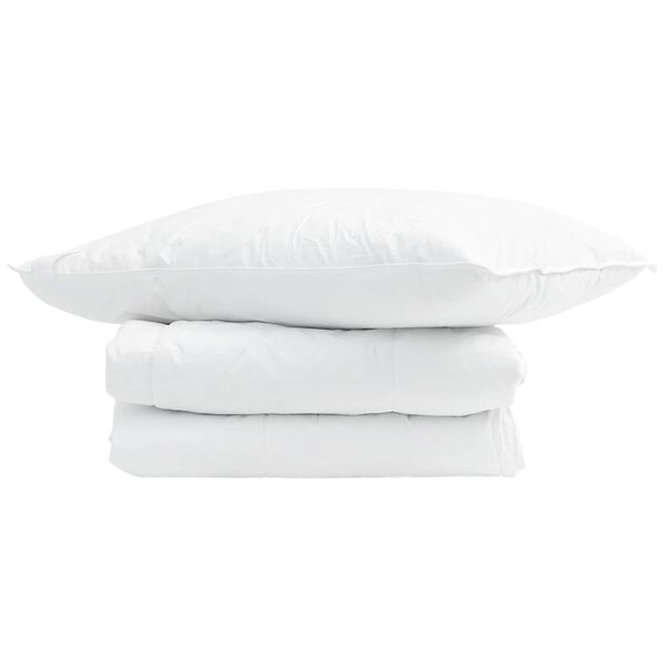 vidaXL Duvet d'&eacute;t&eacute; simple avec oreiller 2 pcs Blanc Plume de canard
