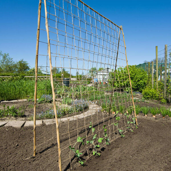 Nature Filet pour plantes grimpantes Jute 1,8x5 m