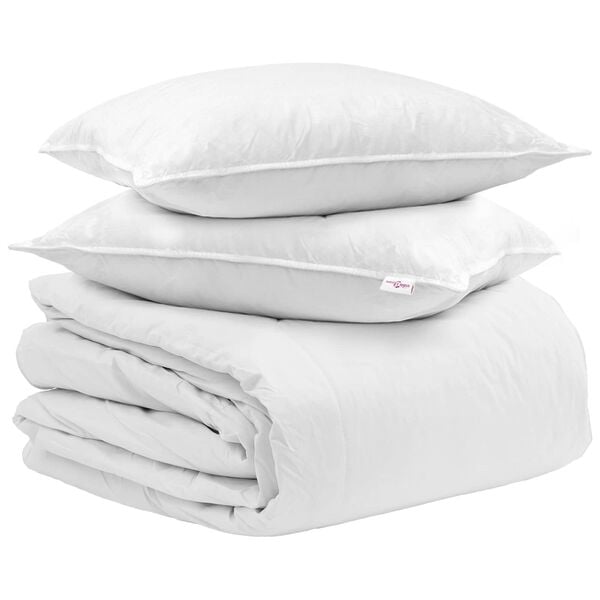 vidaXL Ensemble de Duvet avec oreiller 3 pcs Blanc Plume de canard