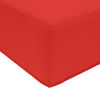 vidaXL Coussin de canap&eacute; d'ext&eacute;rieur Rouge 60 x 60 x 8 cm Polyester