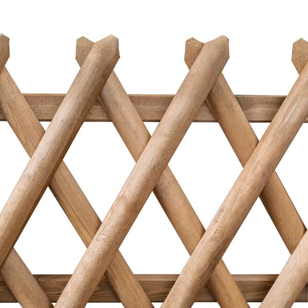 vidaXL Portillons de jardin 2 pcs Bois de pin impr&eacute;gn&eacute; 300x100 cm
