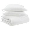 vidaXL Ensemble de Duvet avec oreiller 3 pc Blanc Plume de canard