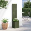 vidaXL Écran de confidentialité de jardin Vert olive 32 x 140 cm