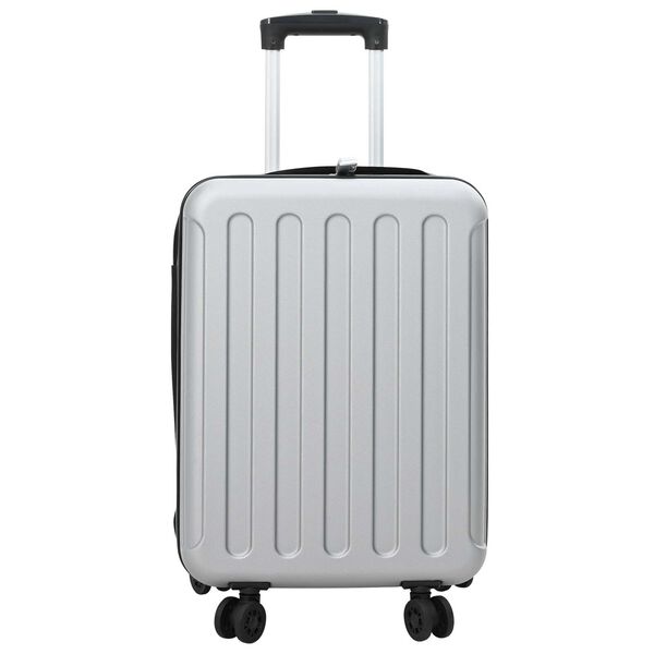 vidaXL Valise avec verrouillage Argent 34 x 23 x 55.5 cm Plastic ABS