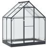 vidaXL Serre de jardin 183,5 x 123 x 207 cm