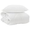 vidaXL Duvet toutes saisons avec oreiller 2 pc Blanc Microfibre