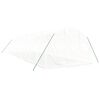 vidaXL Serre avec cadre en acier blanc 30 m² 10x3x2 m