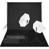 vidaXL Kit de studio photo avec &eacute;clairage et toile de fond