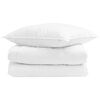 vidaXL Duvet d'&eacute;t&eacute; simple avec oreiller 2 pcs Blanc Plume de canard