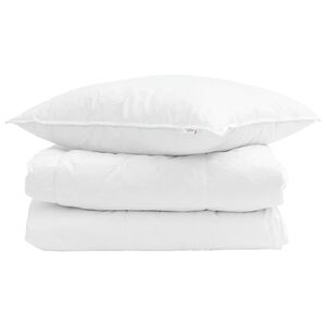 vidaXL Duvet d'&eacute;t&eacute; simple avec oreiller 2 pcs Blanc Plume de canard