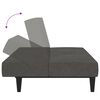 vidaXL Canap&eacute;-lit &agrave; 2 places Gris fonc&eacute; Tissu microfibre