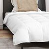vidaXL Duvet 2-en-1 avec oreiller 2 pcs Blanc Plume de canard