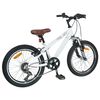 vidaXL Kids Mountain Bike 20 Pouces 6-Speed pour 5-8 ans Blanc