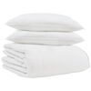 vidaXL Duvet d'hiver avec oreiller 3 pcs Blanc Plume de canard