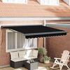 vidaXL Auvent Noir 300 x 250 x 165 cm Polyester et Aluminium