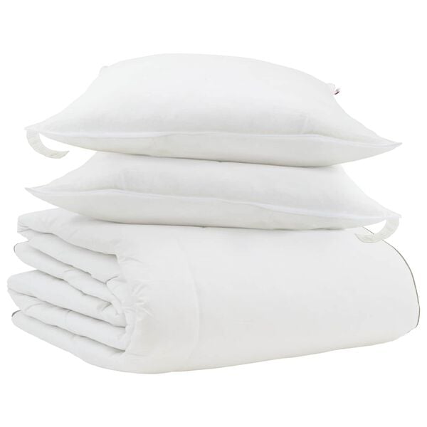 vidaXL Duvet d'hiver avec oreiller 3 pcs Blanc Plume de canard