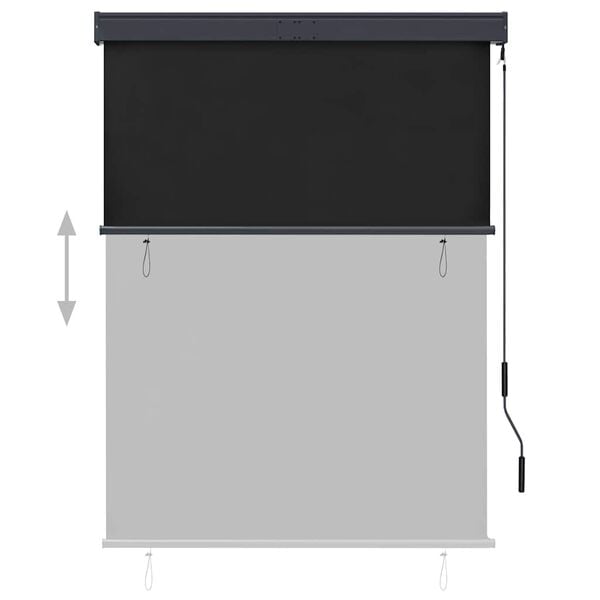 vidaXL Store roulant d'ext&eacute;rieur 120 x 250 cm Anthracite