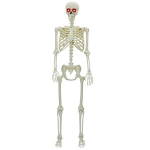 vidaXL Squelette d'Halloween Blanc 155 x 38,5 cm Polypropyl&egrave;ne