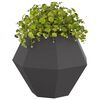 vidaXL Jardini&egrave;re 2 pcs Noir 75 x 75 x 60 cm Acier