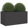 vidaXL Jardinière noir 62x30x29 cm acier